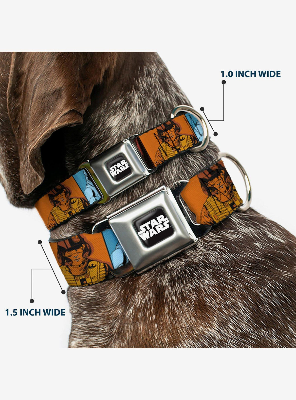 Collar para perro Star Wars: El despertar de la Fuerza