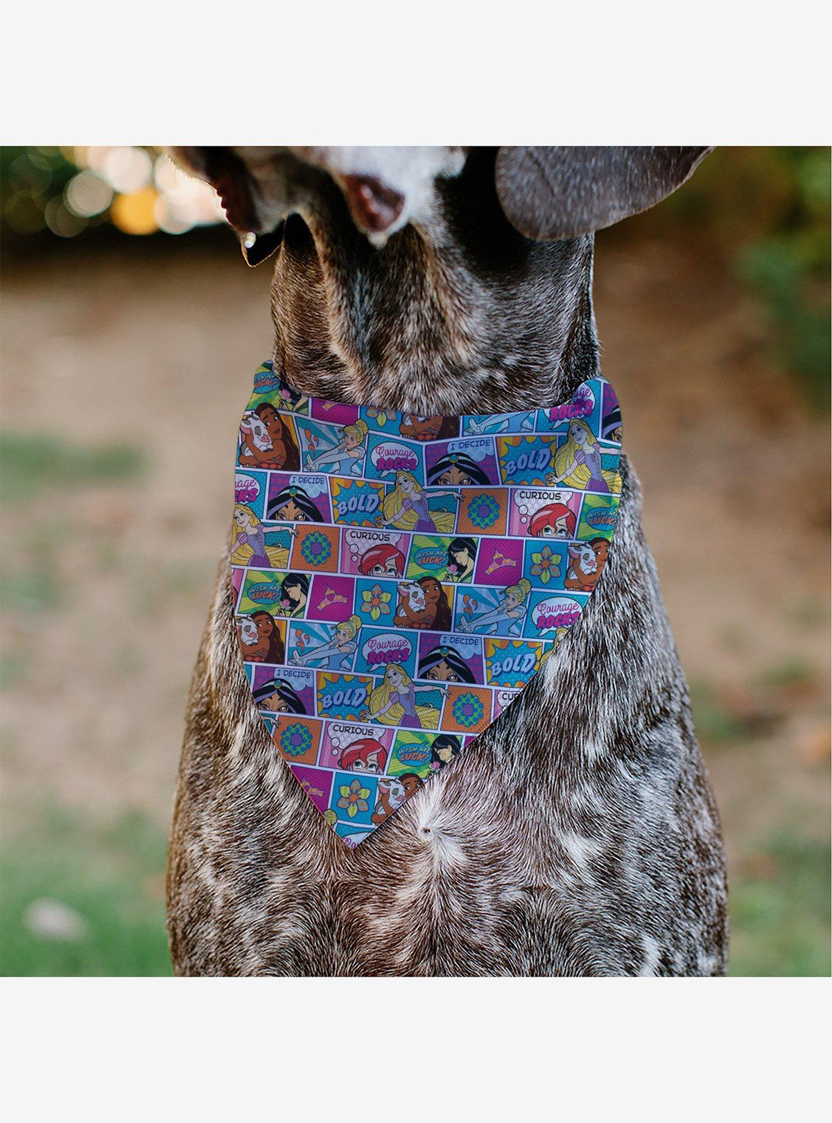 Bandana para mascota Disney Princess Pop Art