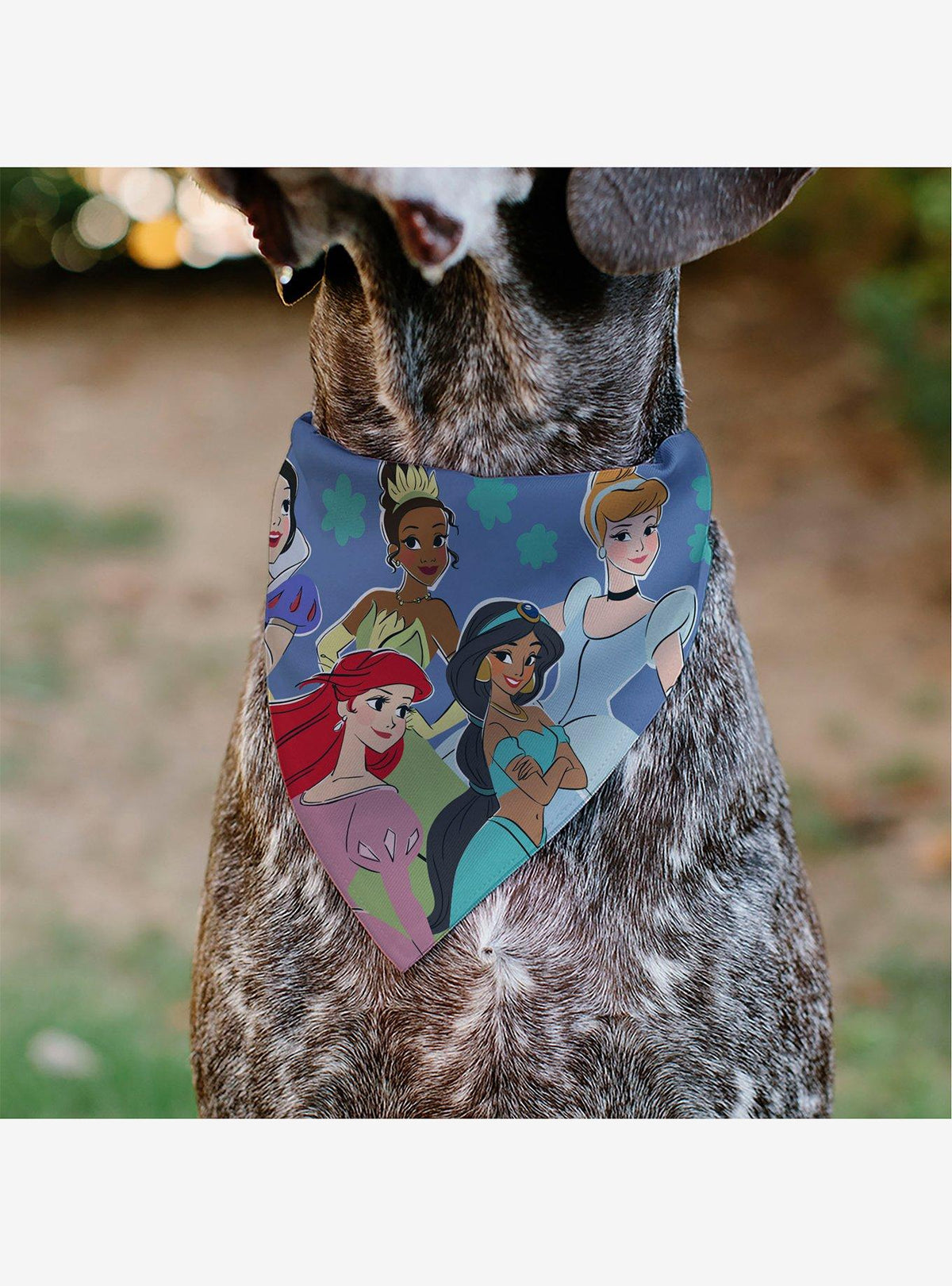 Bandana para mascota Disney Princesses con flores
