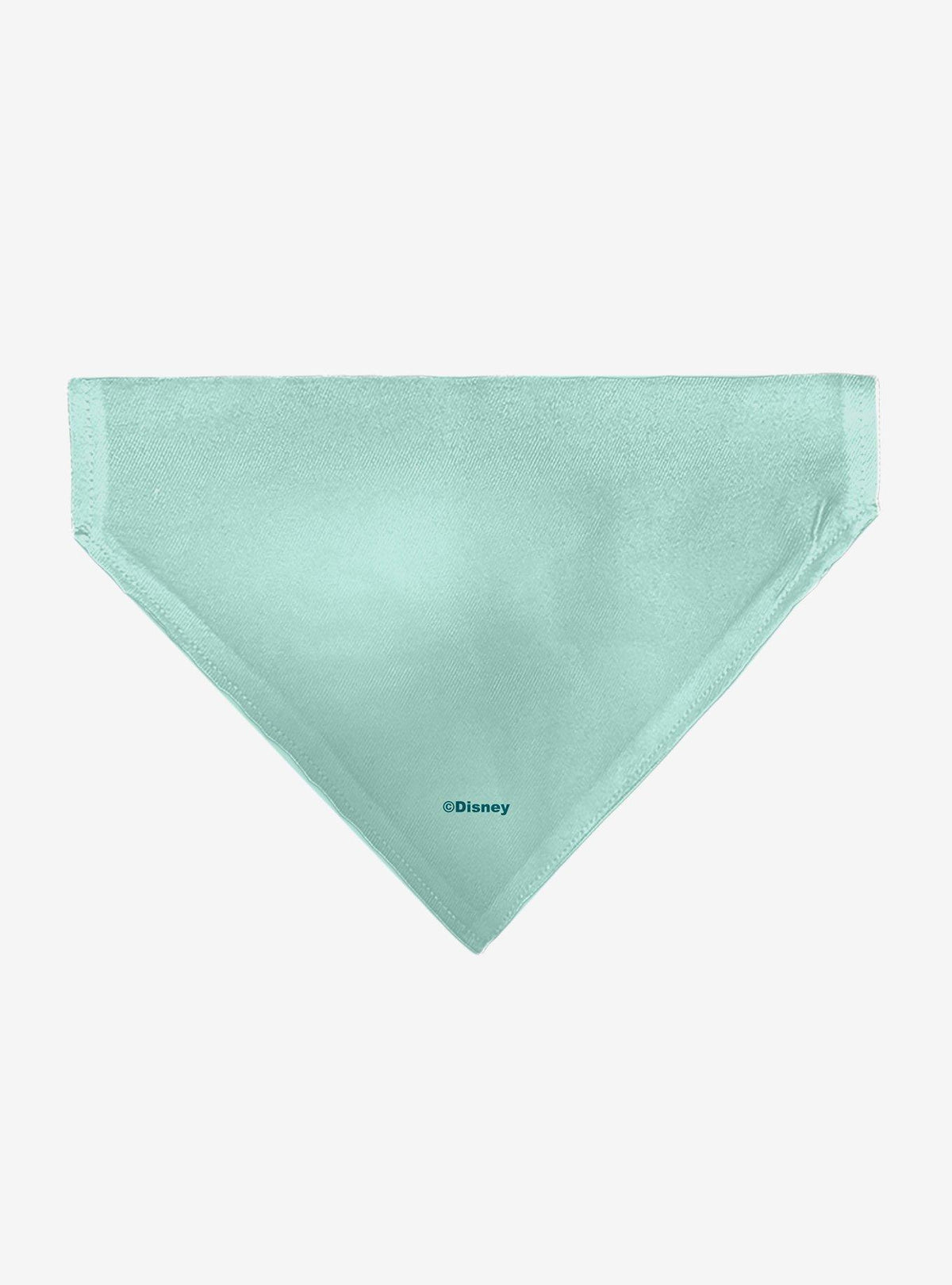 Bandana para mascota Moana de Disney