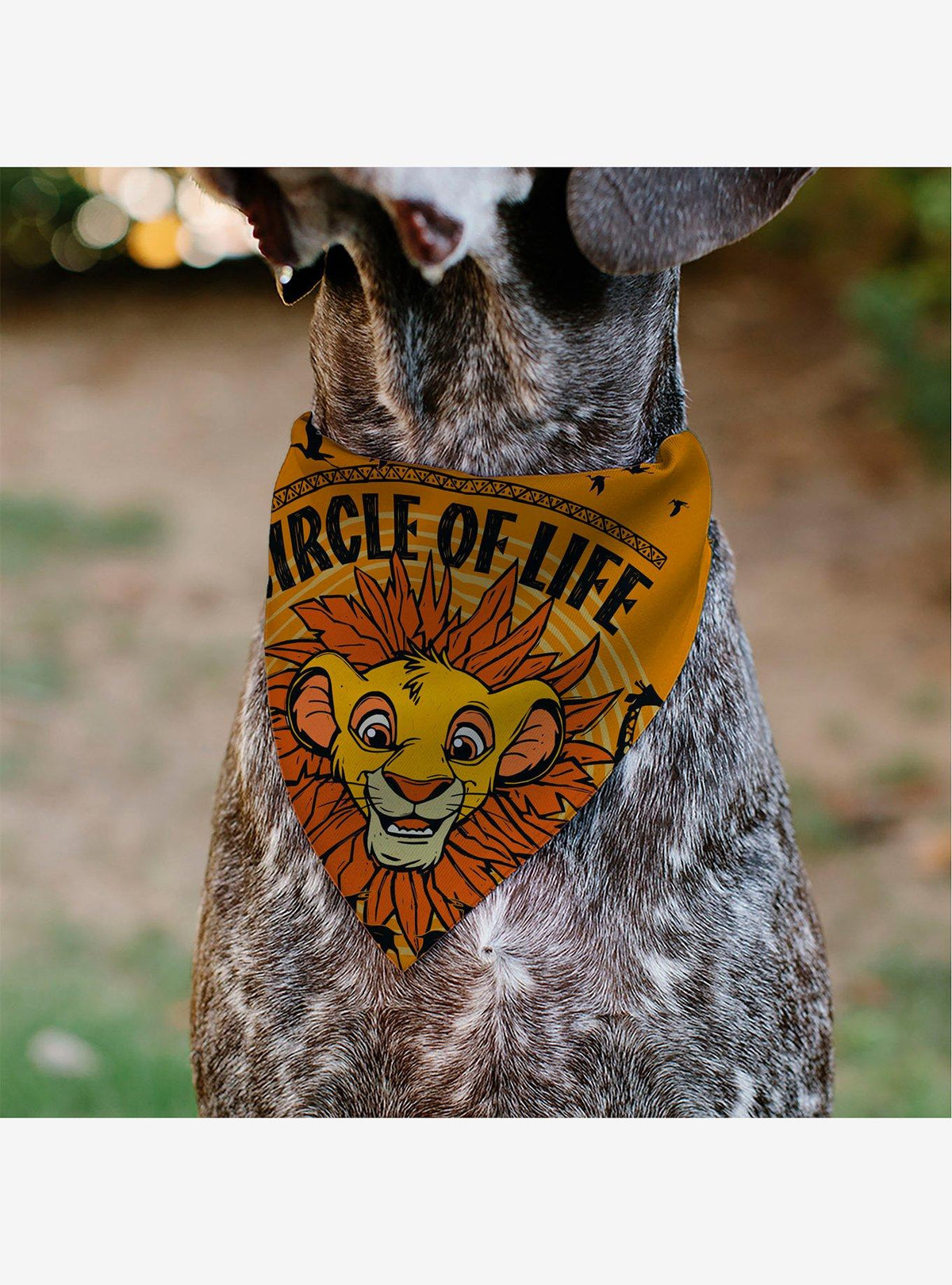 Bandana para mascota Simba joven de The Lion King