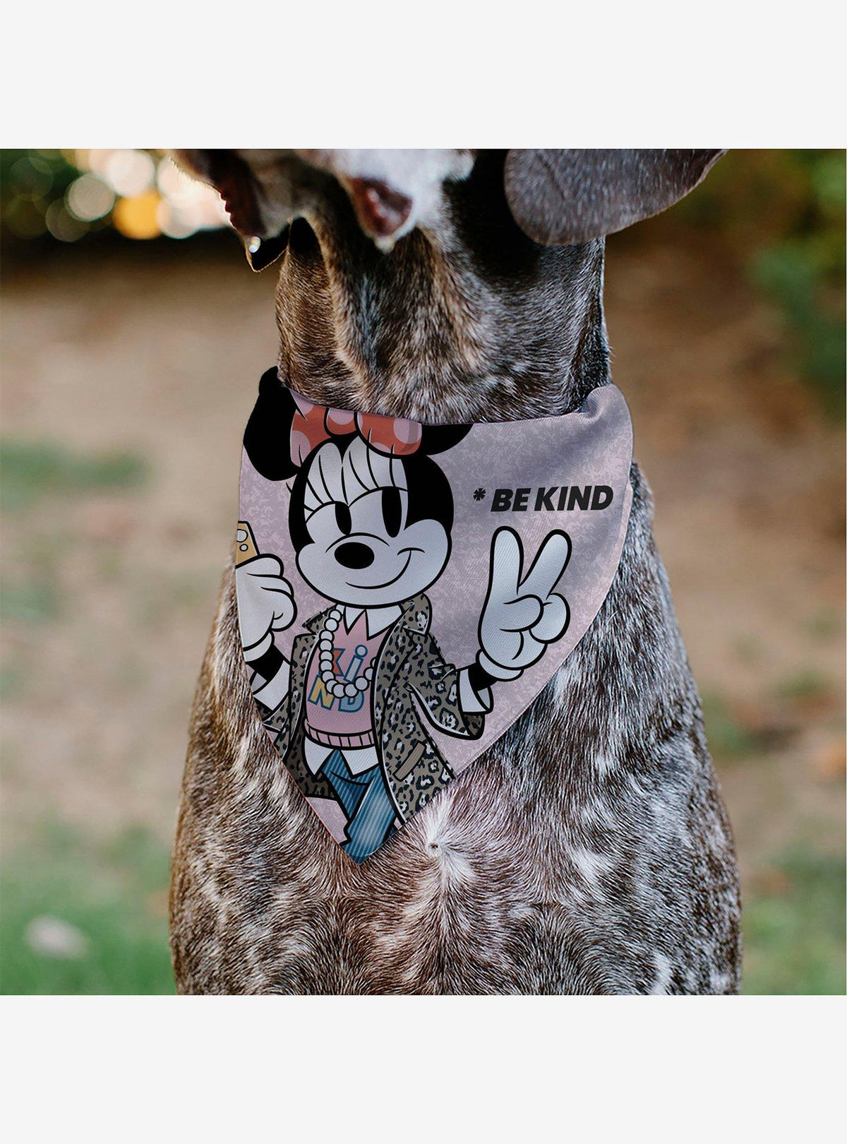 Bandana para mascota Minnie Mouse Pose de paz