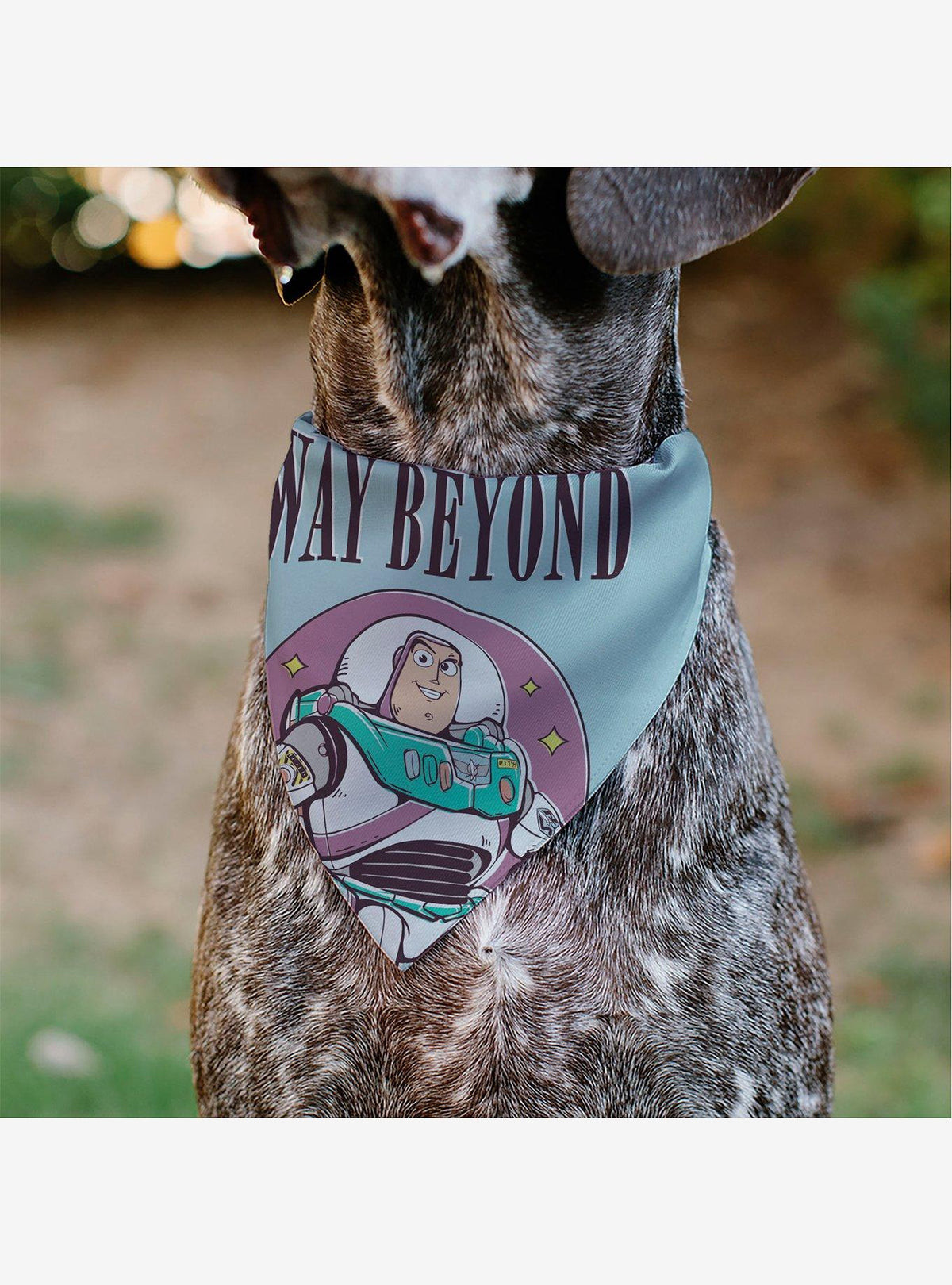 Bandana para mascota de Buzz Lightyear - Toy Story
