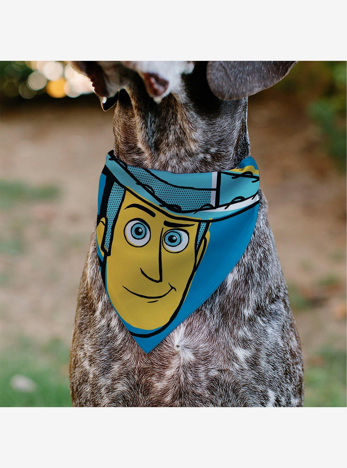 Bandana para mascota Woody Pop Art de Toy Story