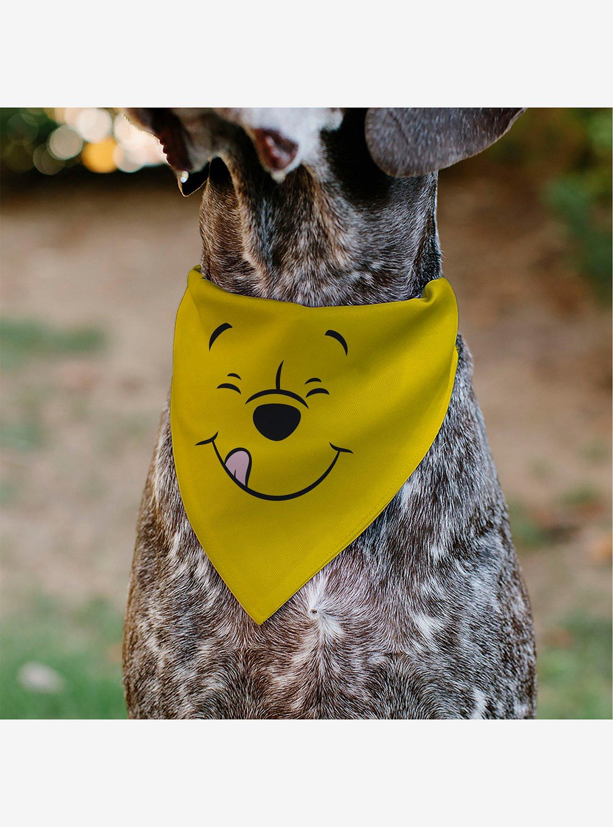 Bandana dorada para mascota de Winnie the Pooh