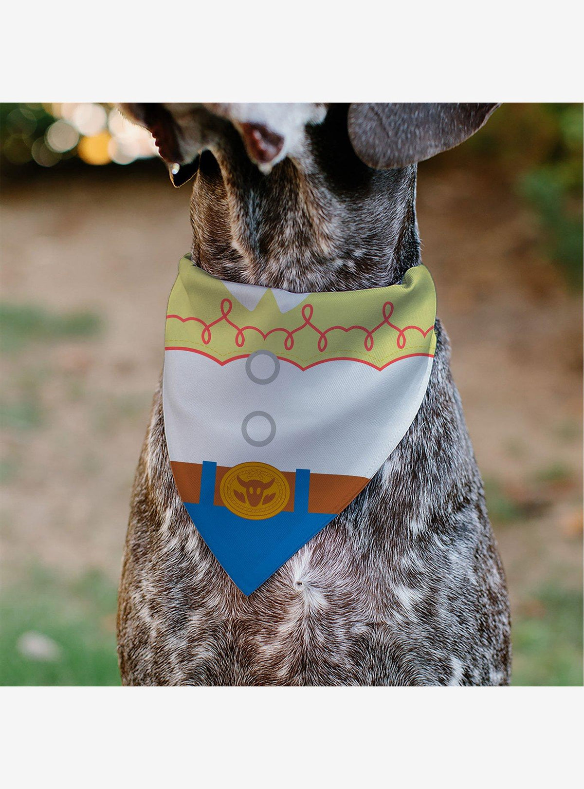 Bandana para mascotas Jessie de Toy Story