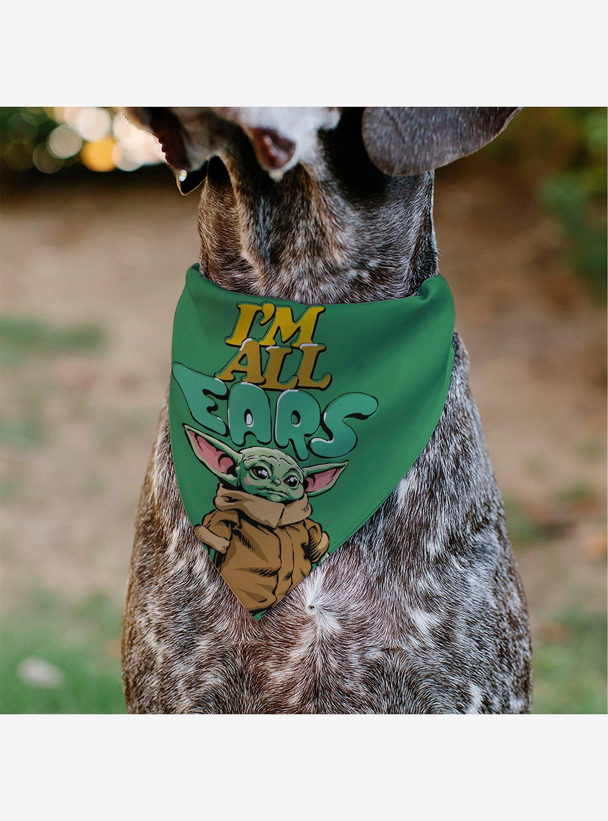 Bandana para mascota Star Wars Grogu: ¡Te escucho!