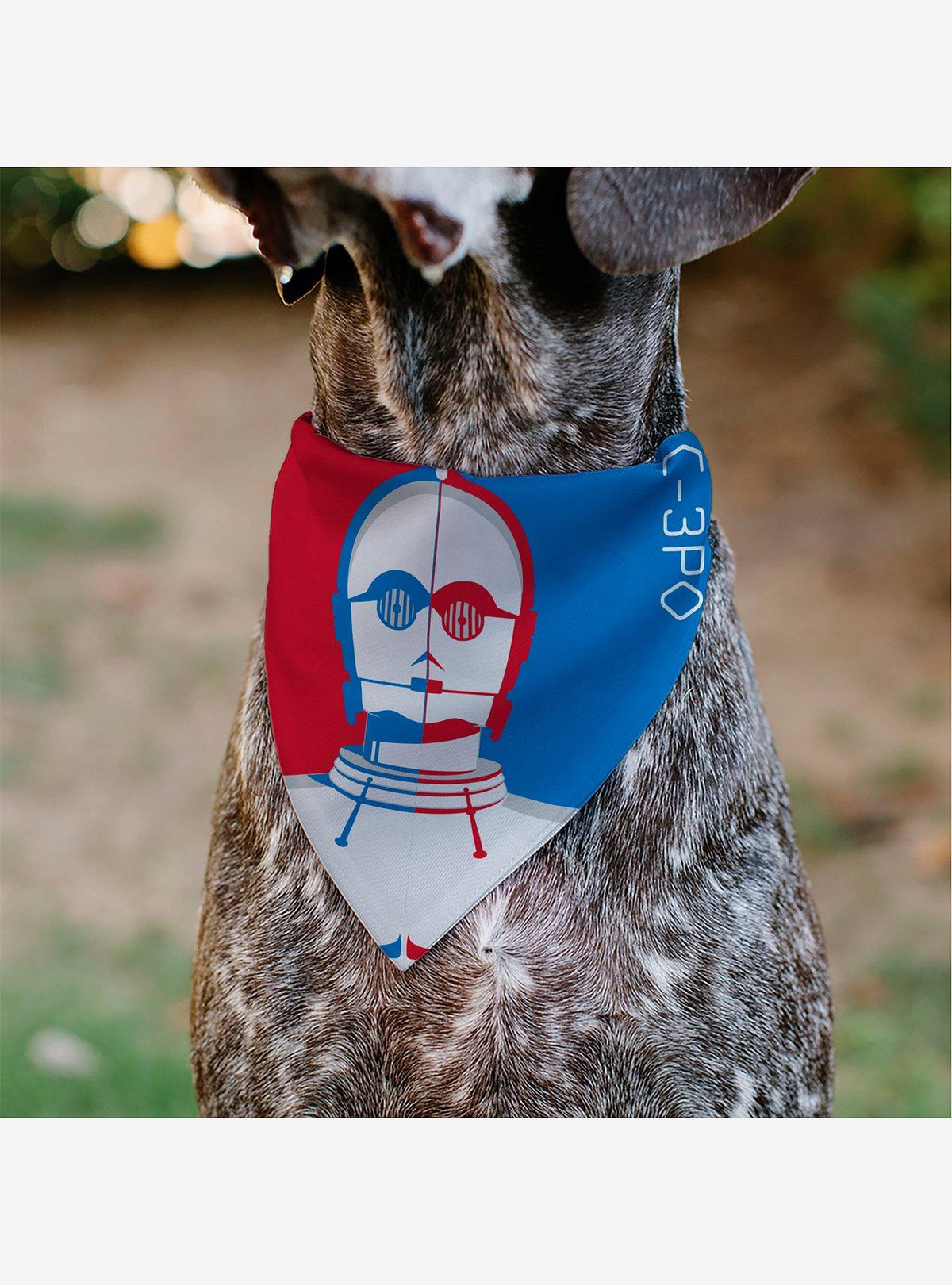 Bandana para mascota Star Wars C-3PO