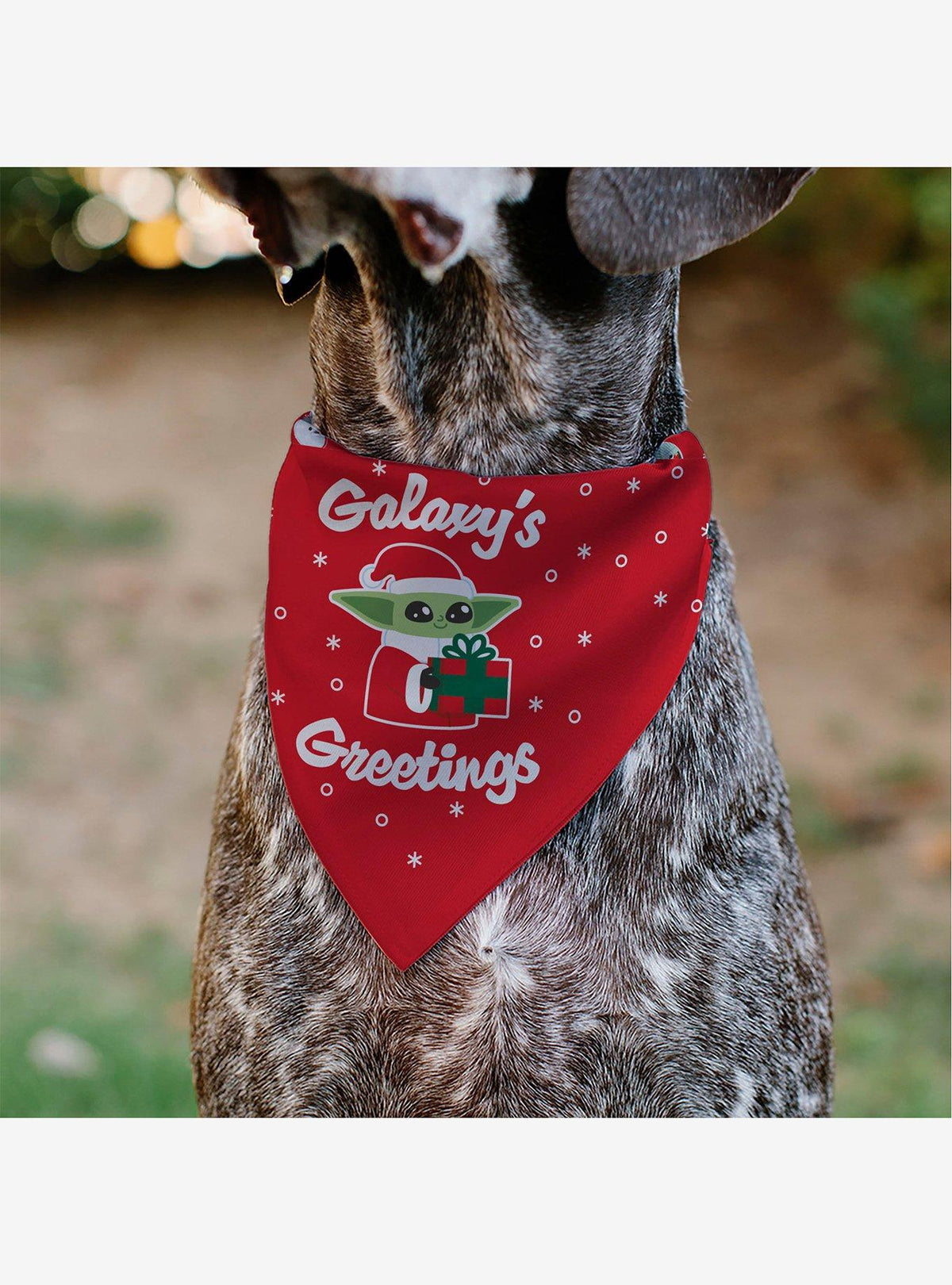 Bandana navideña de Grogu para mascota - Star Wars