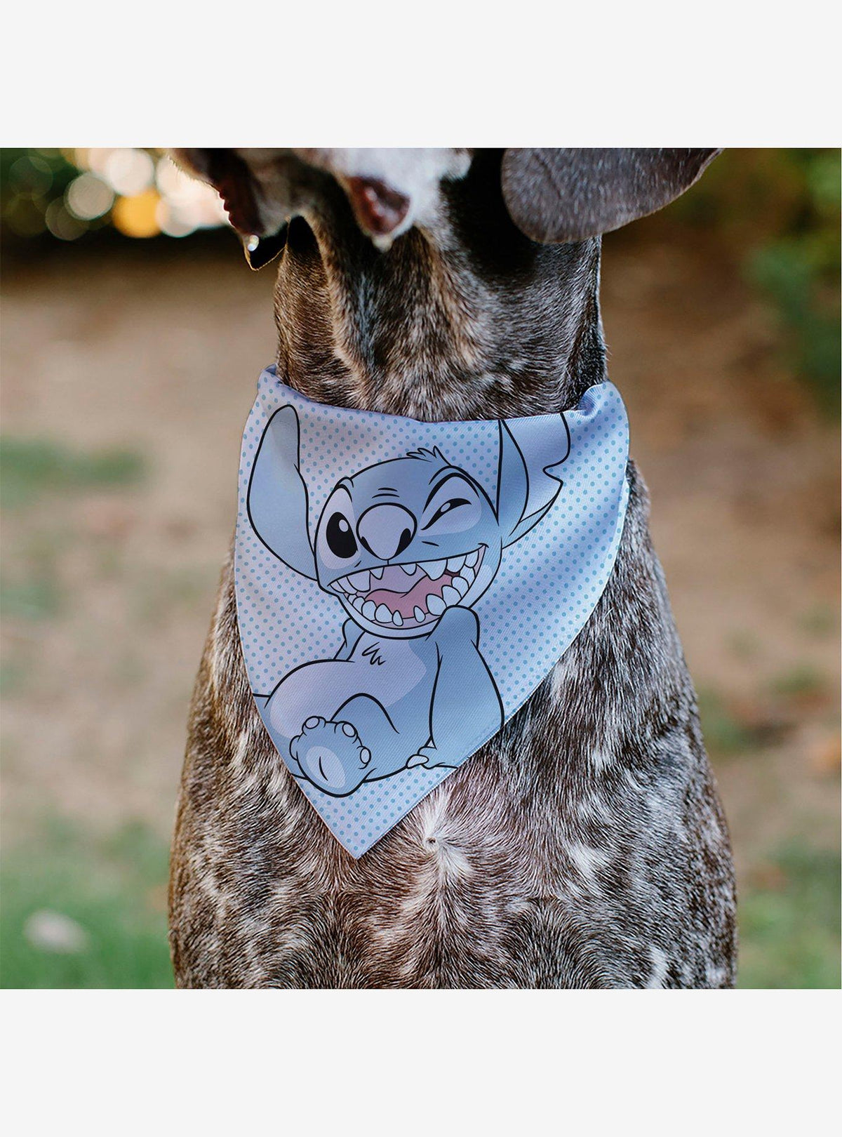 Bandana para mascota Stitch guiñando el ojo y con lunares