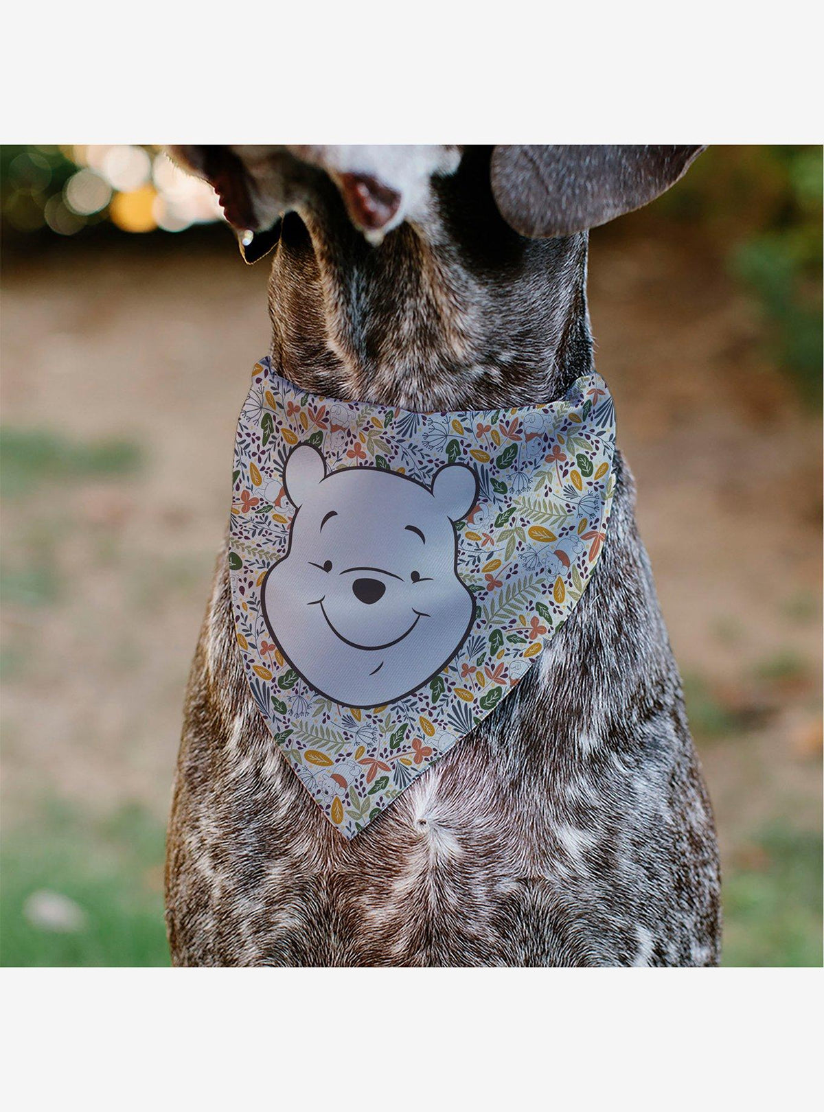 Bandana para mascota Winnie the Pooh con hojas