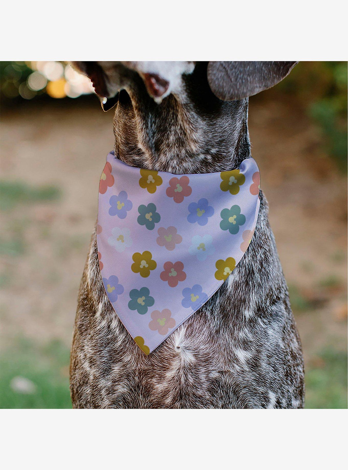 Bandana para mascota Disney de Mickey Mouse con flores