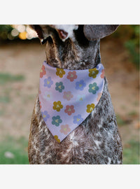 Bandana para mascota Disney de Mickey Mouse con flores