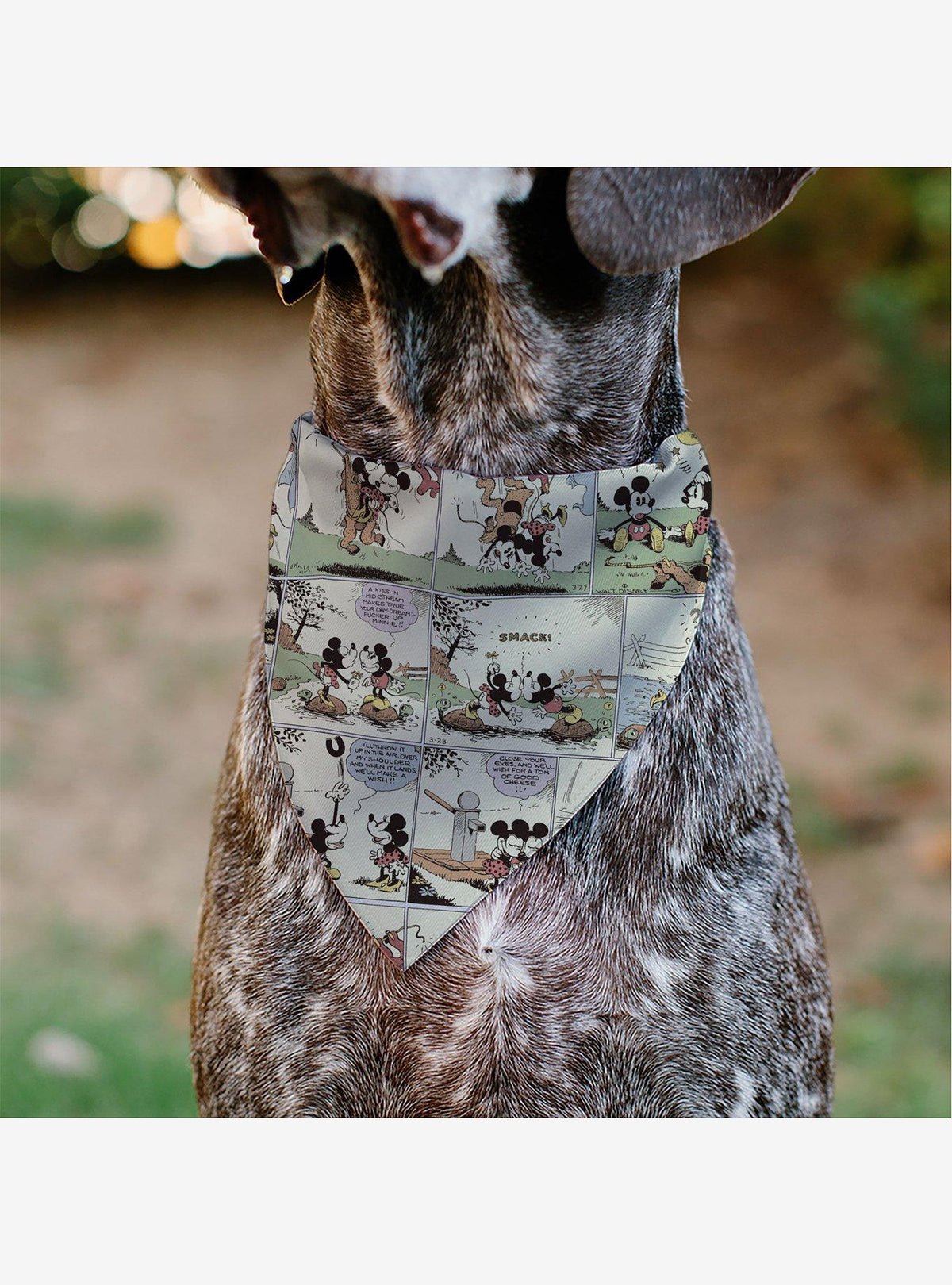 Bandana para mascota de Mickey y Minnie Mouse