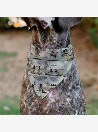 Bandana para mascota de Mickey y Minnie Mouse