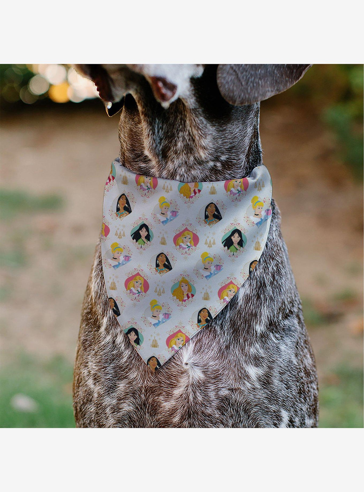 Bandana navideña Disney de princesas para mascotas