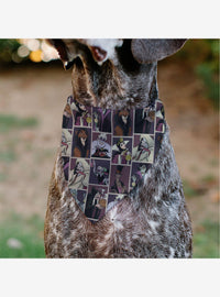 Bandana para mascota Disney Villains