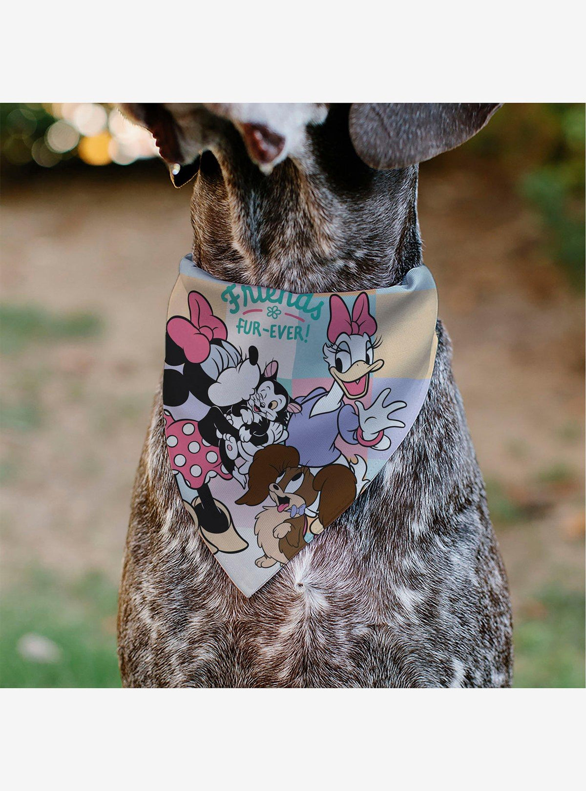 Bandana para mascota Minnie Mouse y Daisy Duck