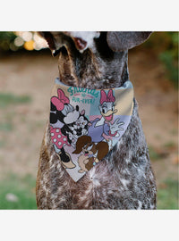 Bandana para mascota Minnie Mouse y Daisy Duck