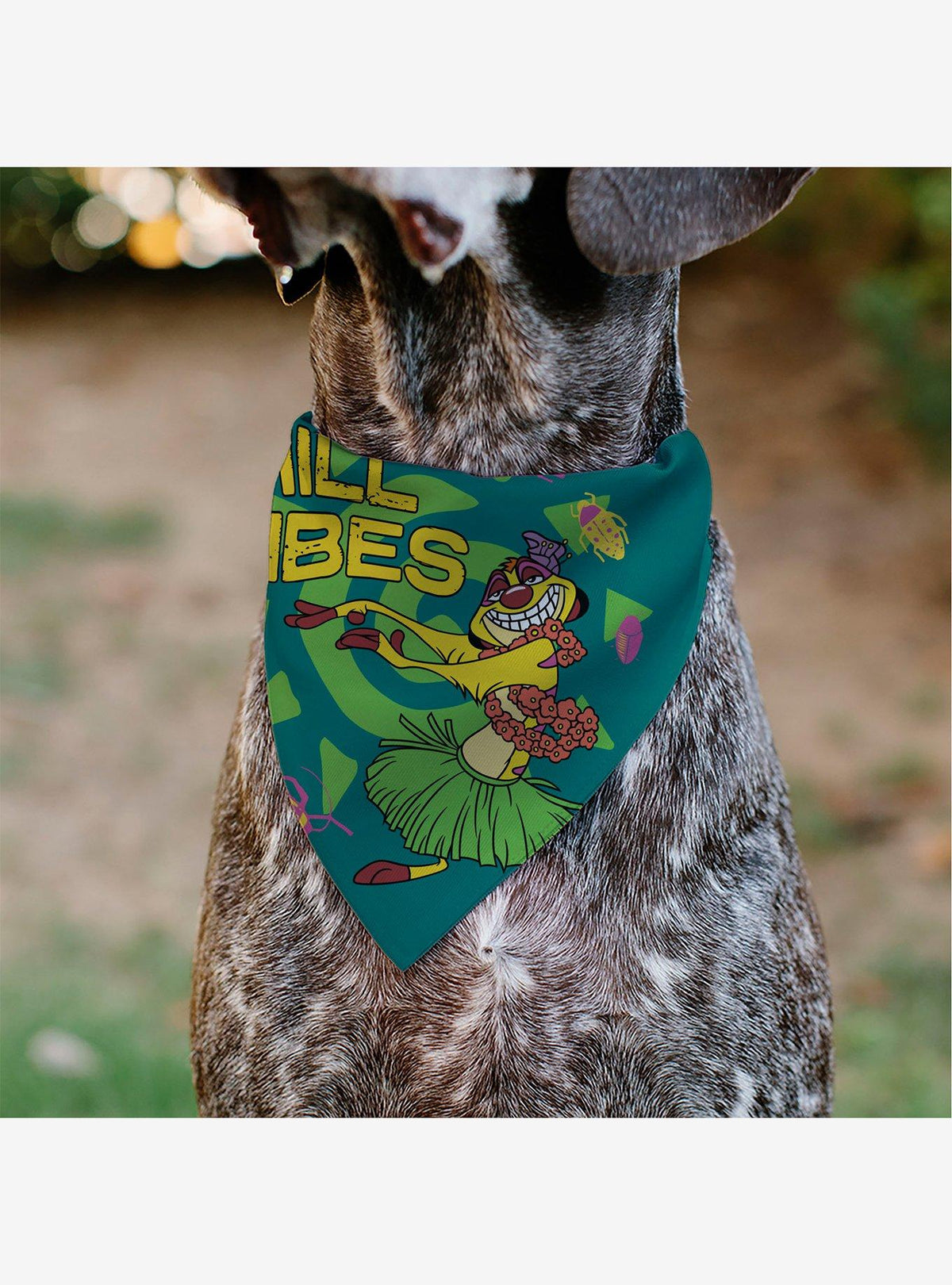 Bandana para collar Disney El Rey León: Timón en pose hula