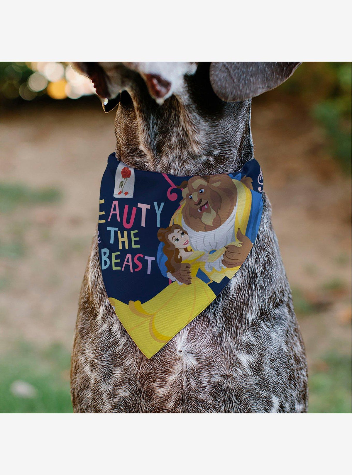 Bandana para mascota de Beauty and the Beast: Belle