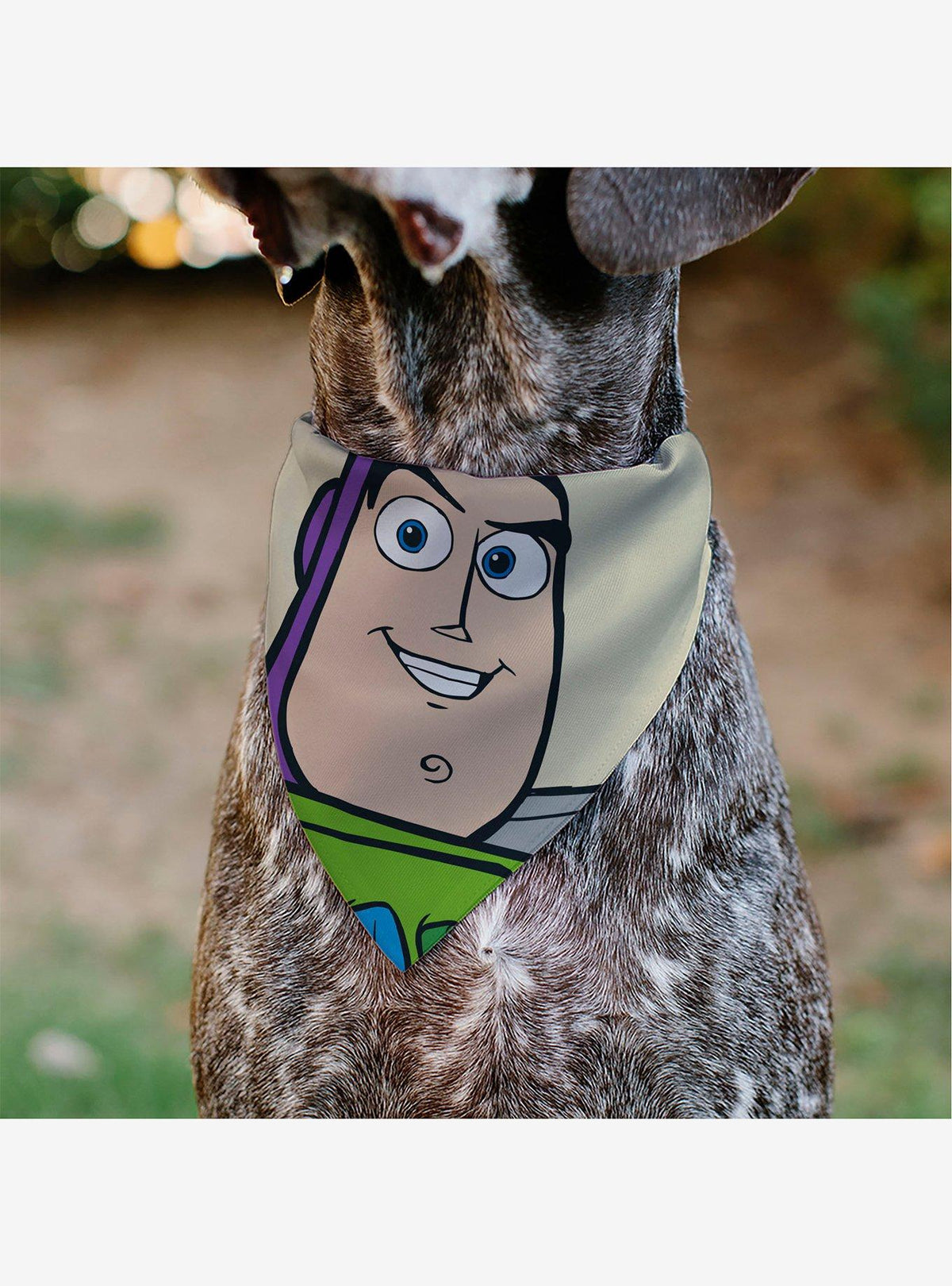 Bandana para mascota Buzz Lightyear de Toy Story