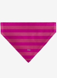 Bandana para mascota Gato de Cheshire - Alicia en el País de las Maravillas