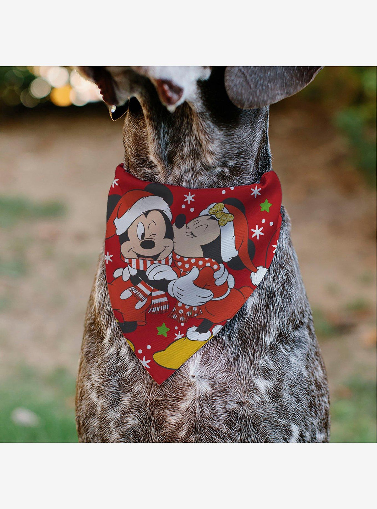 Bandana navideña para mascota de Mickey y Minnie