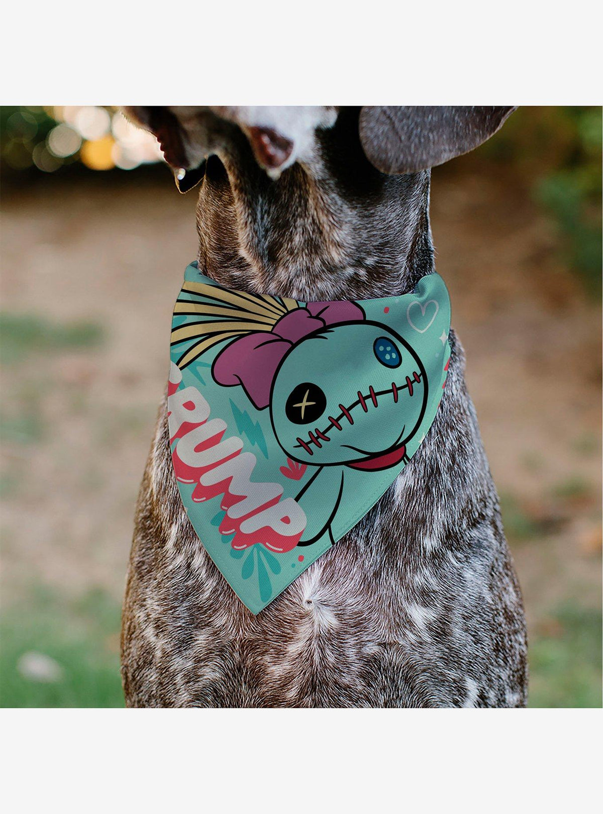 Bandana para mascota de Scrump | Lilo & Stitch