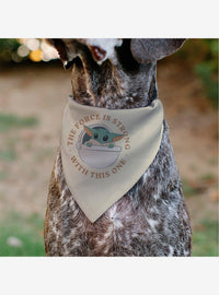 Bandana para mascota Star Wars: Grogu en su cápsula