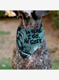 Bandana para mascota Star Wars: The Mandalorian y Grogu
