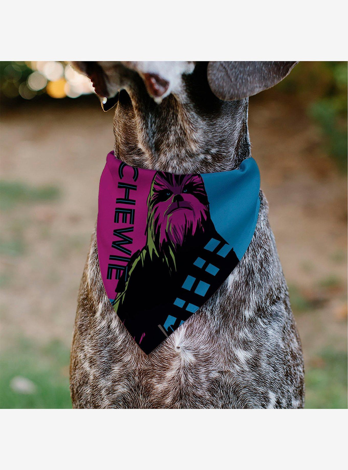 Bandana para mascotas Chewbacca Pop Art de Star Wars