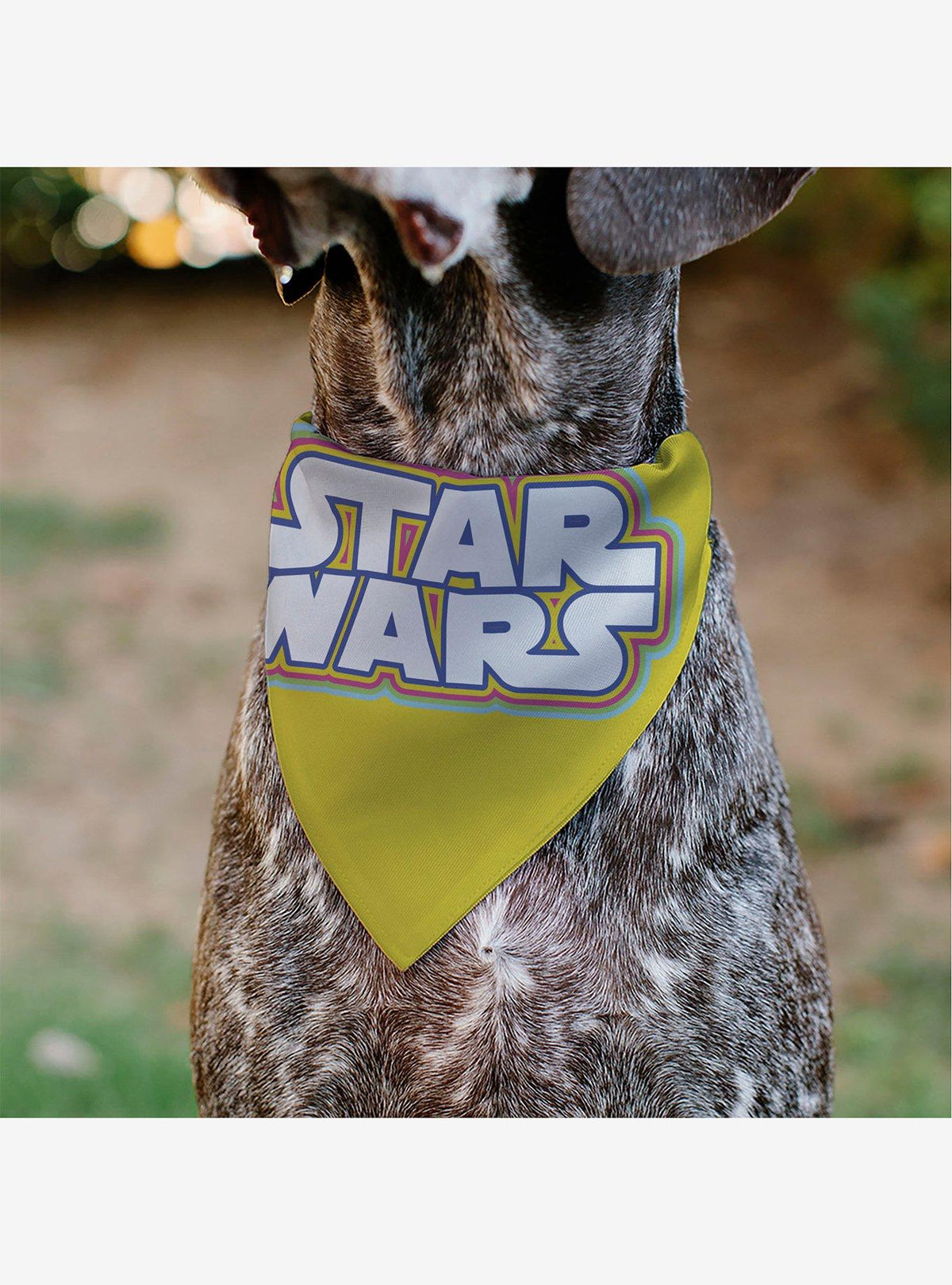 Bandana para mascota Star Wars amarilla y multicolor