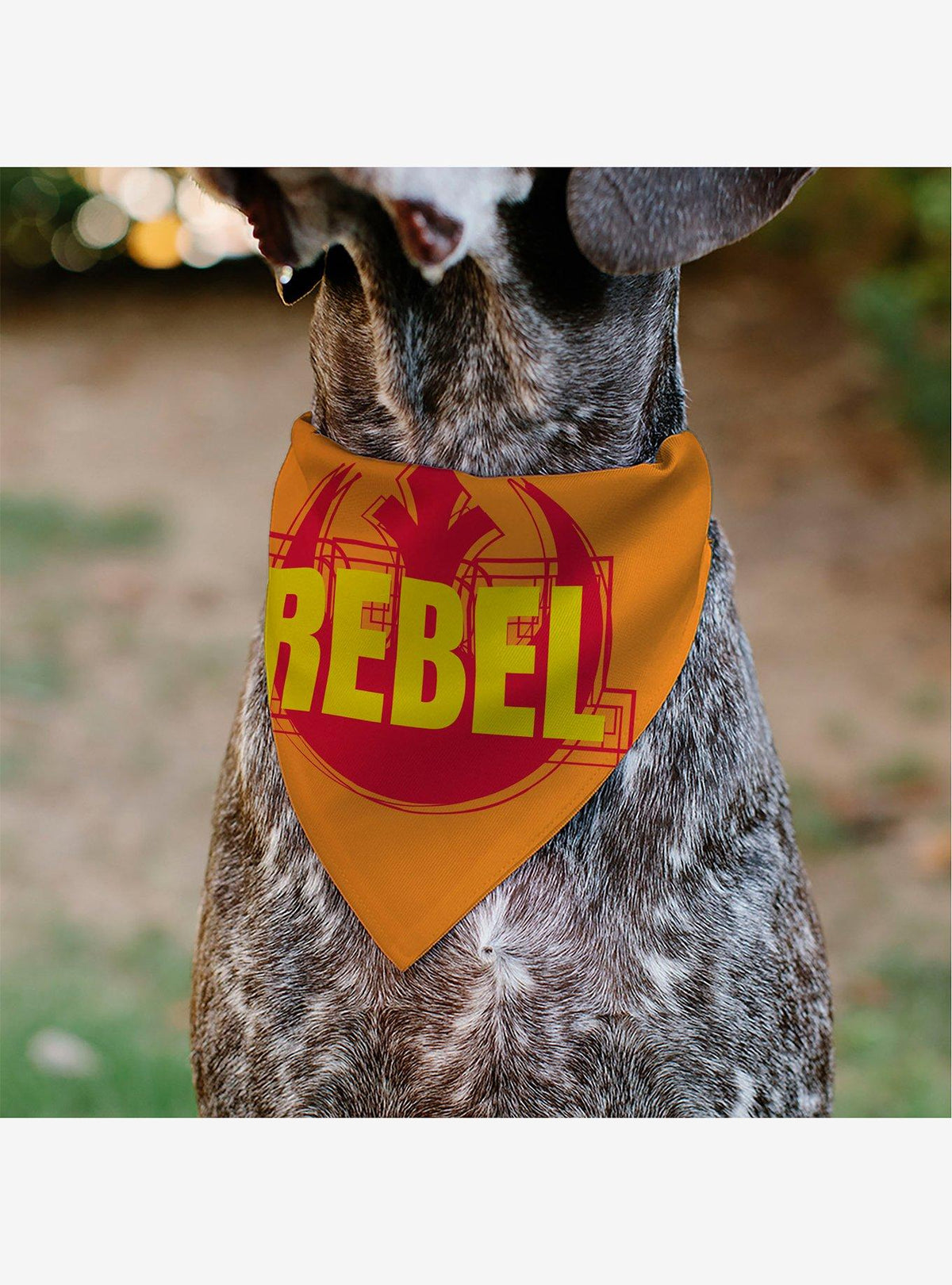 Bandana para mascota Star Wars con insignia de la Alianza Rebelde