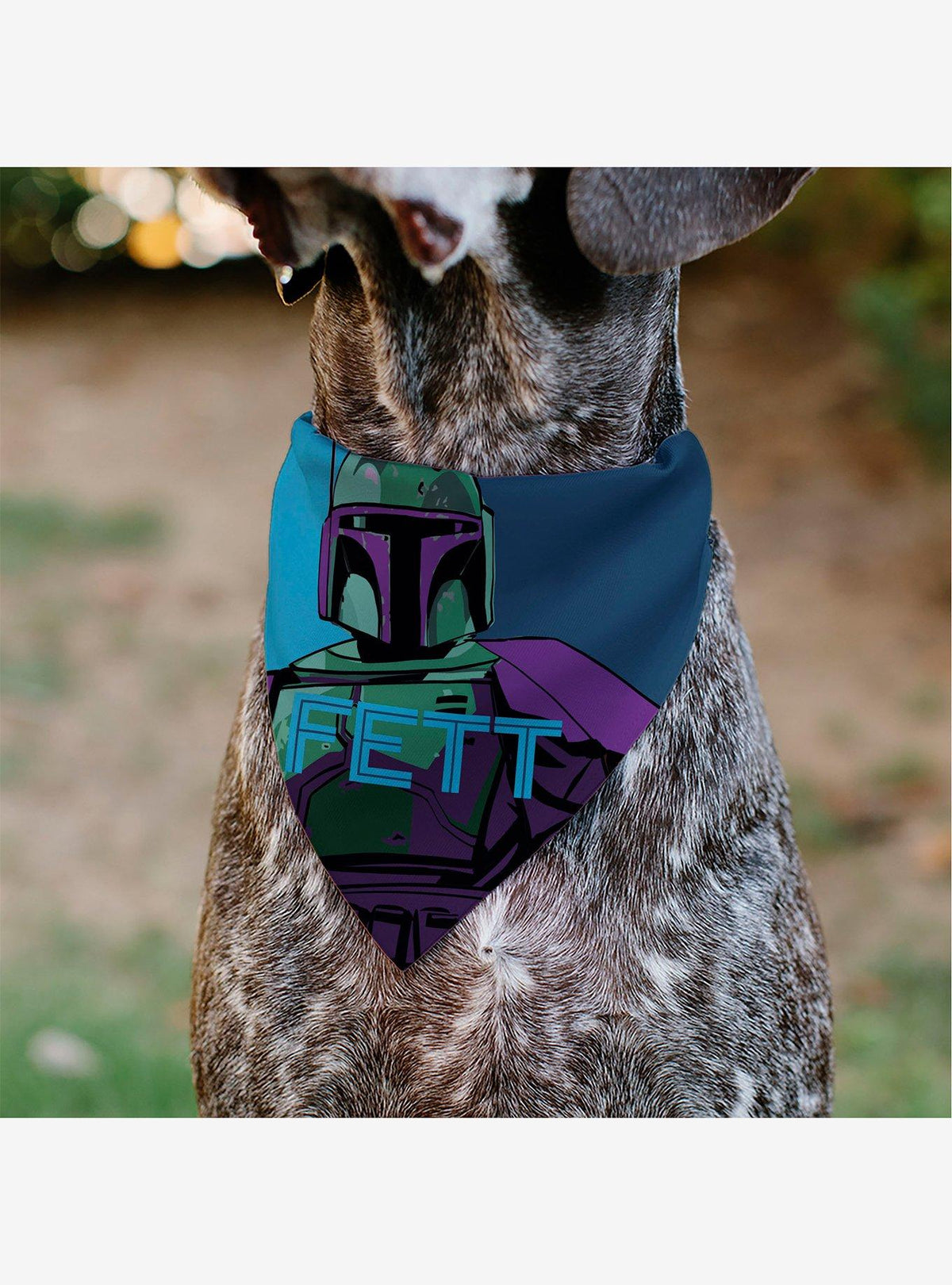 Pañuelo para mascota Star Wars Boba Fett