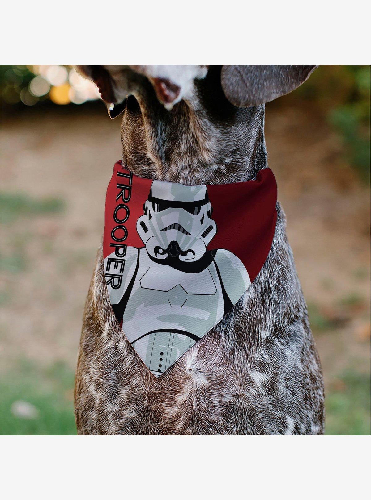 Bandana para mascota Star Wars con arte pop de stormtroopers