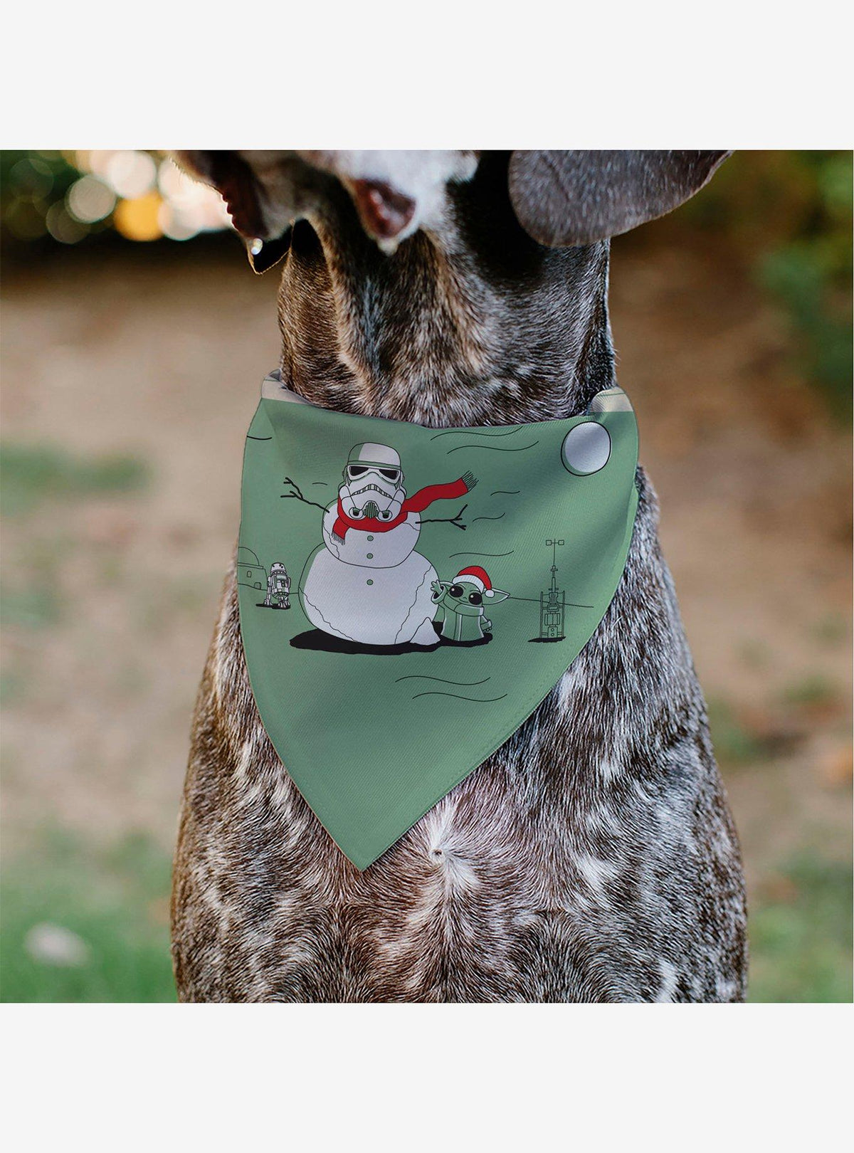 Bandana navideña Star Wars para mascota con Grogu