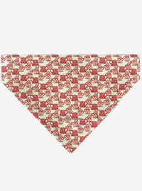 Bandana para mascota Star Wars: cacao y lado oscuro