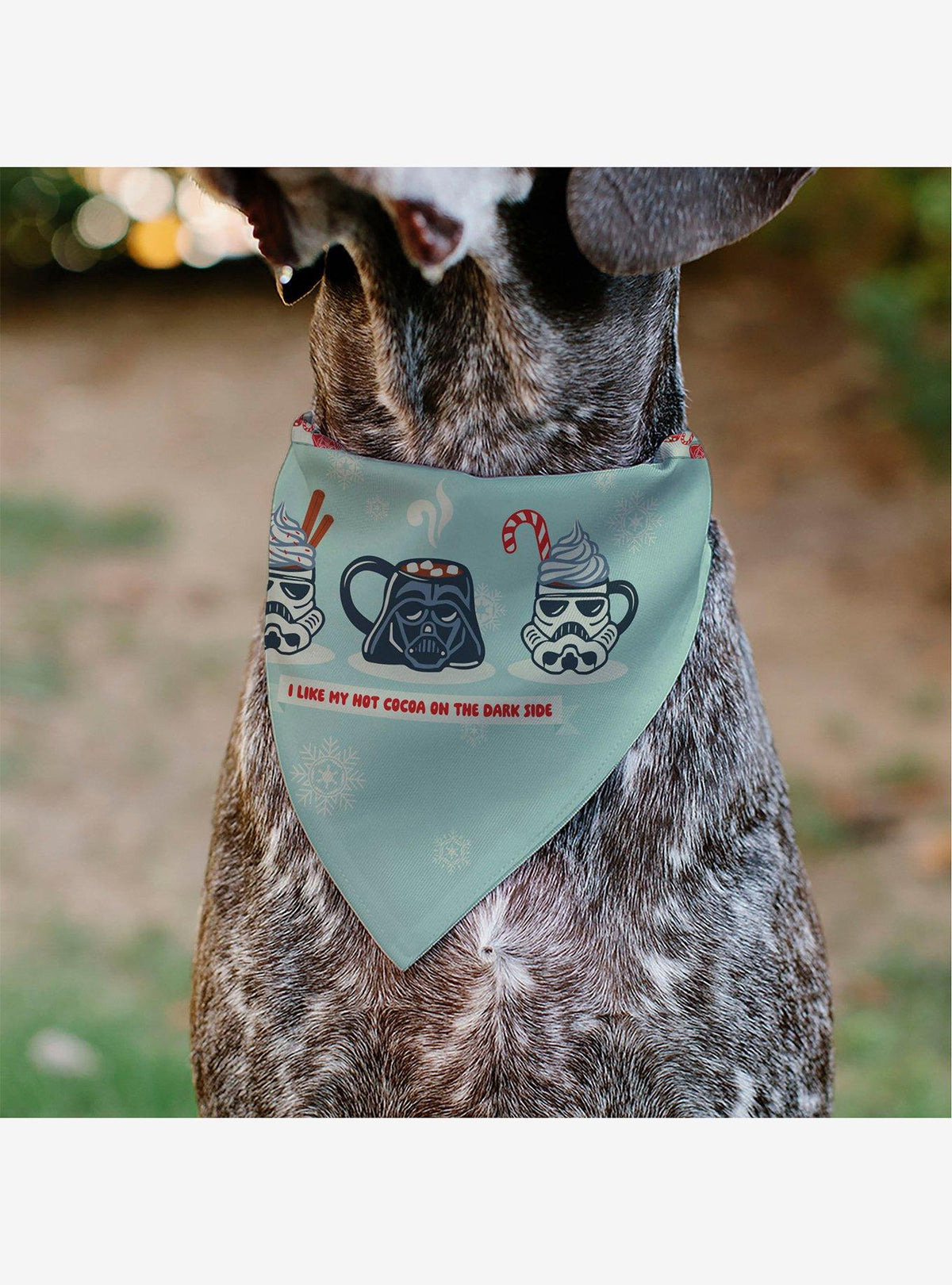 Bandana para mascota Star Wars: cacao y lado oscuro