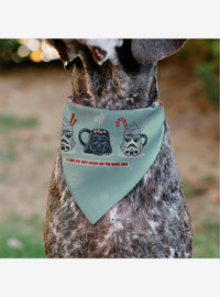 Bandana para mascota Star Wars: cacao y lado oscuro