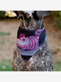 Bandana para mascota del Gato de Cheshire