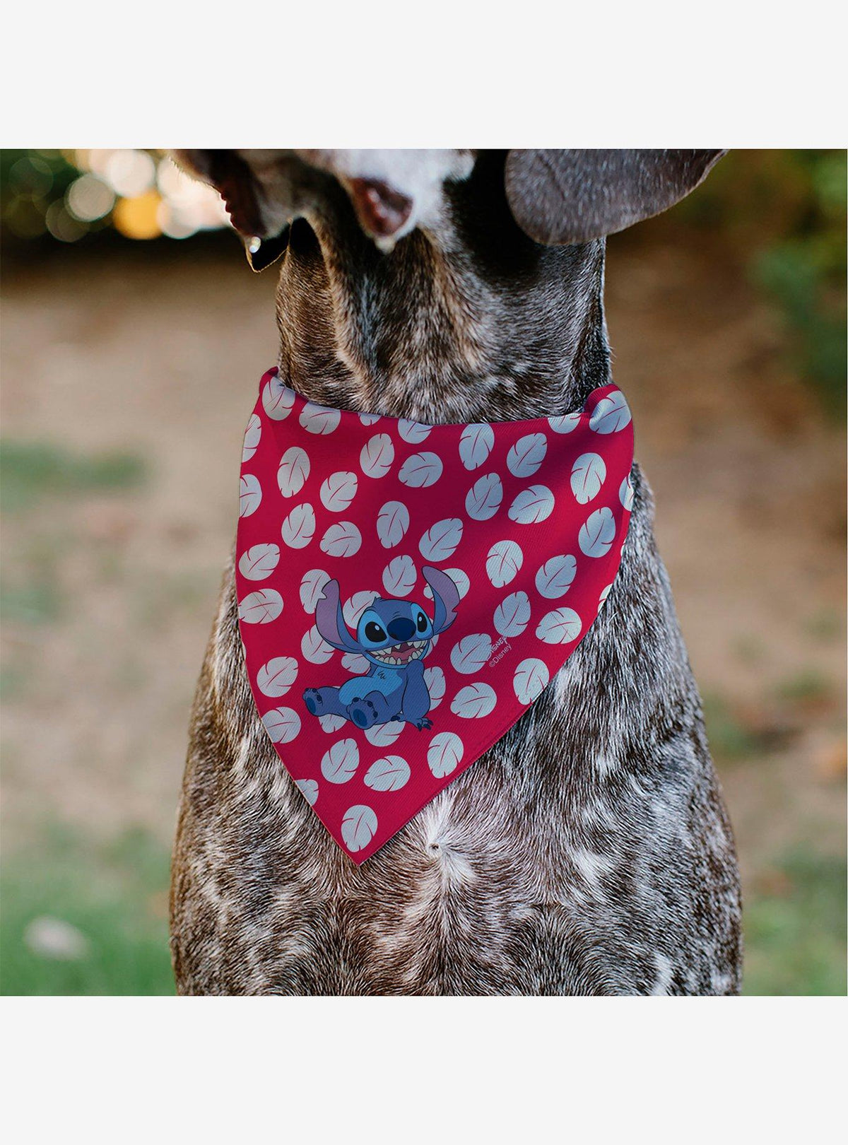 Bandana para mascota Disney Stitch con hojas