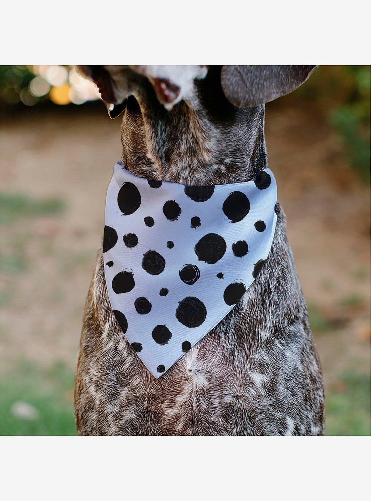 Bandana para mascotas Cruella de 101 dálmatas