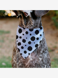 Bandana para mascotas Cruella de 101 dálmatas