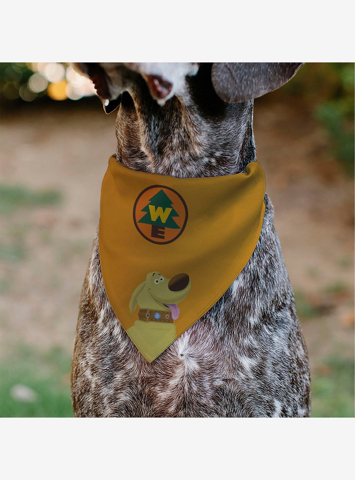 Bandana para mascota de Dug de Up con insignia
