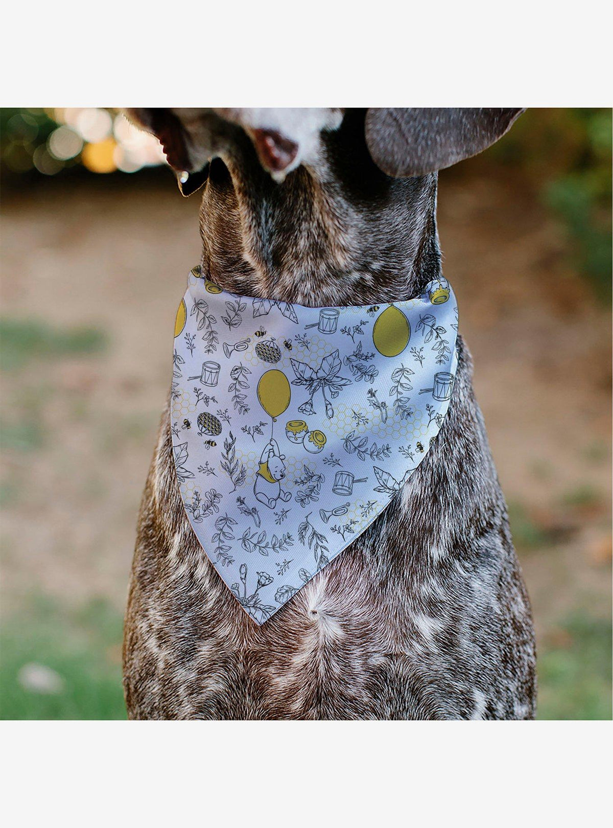 Bandana para mascota Winnie the Pooh con globos y follaje
