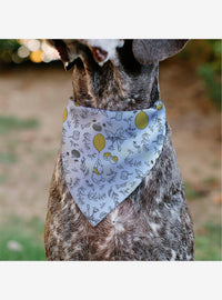 Bandana para mascota Winnie the Pooh con globos y follaje