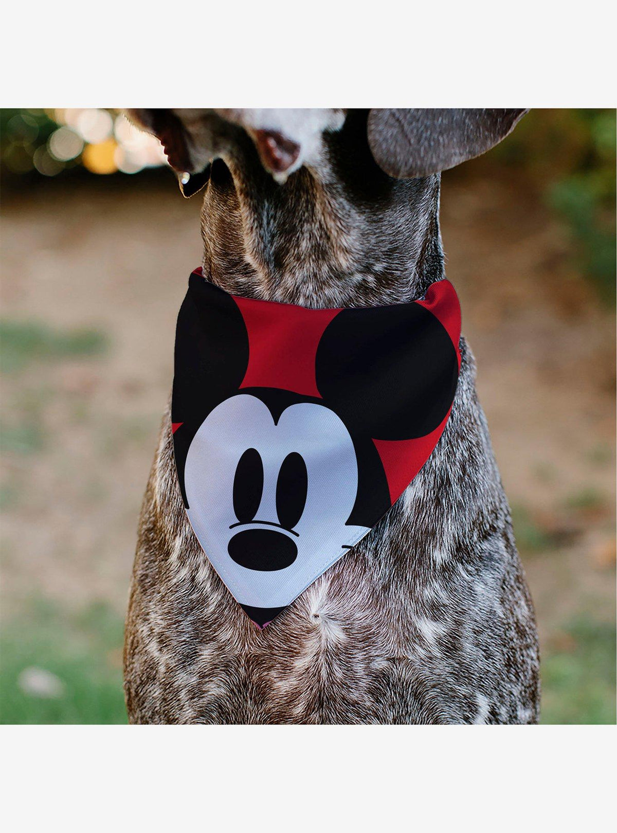 Bandana para mascota Mickey Mouse