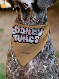 Bandana para mascota Lola Bunny de Looney Tunes