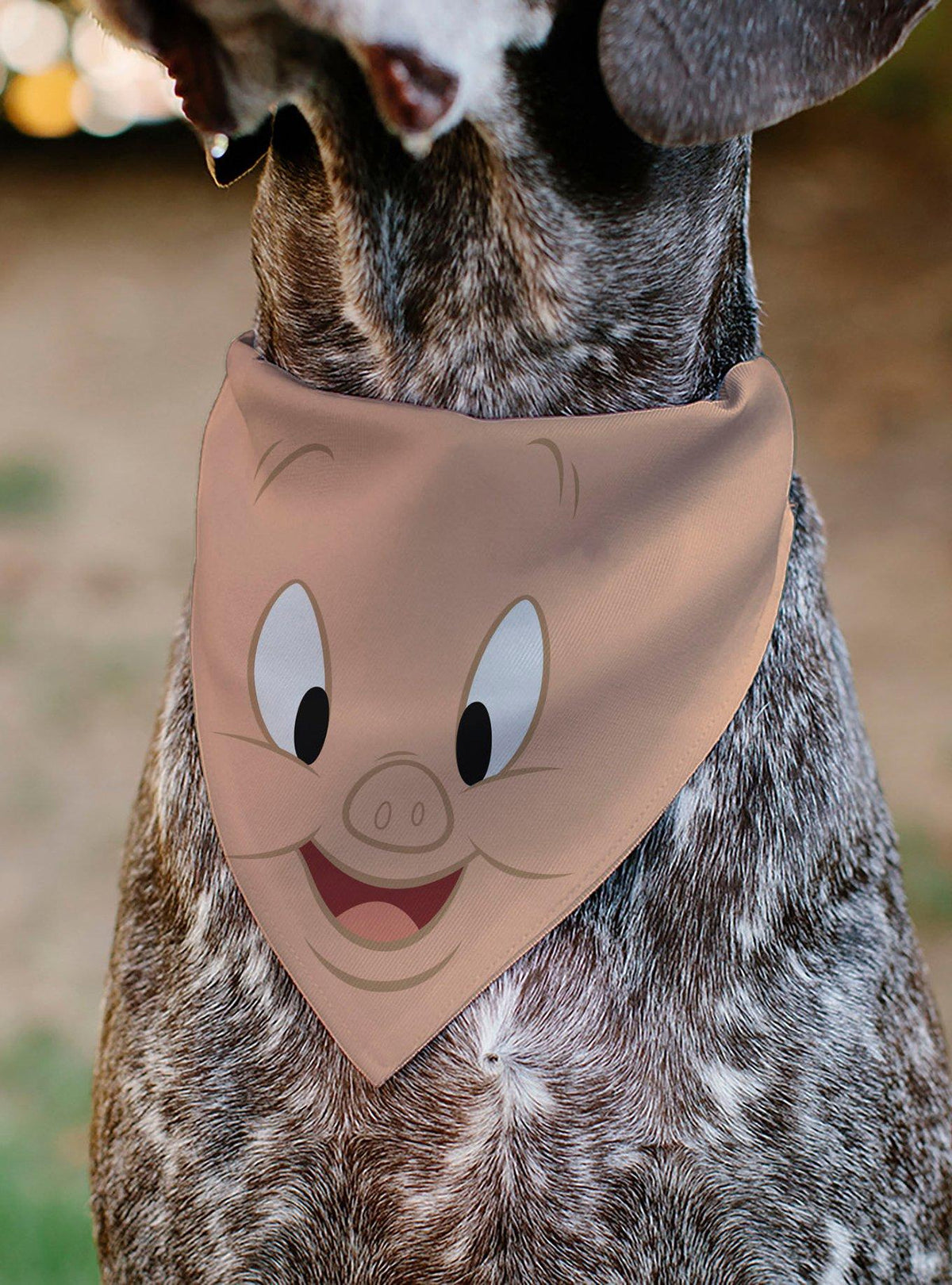 Bandana para mascota de Porky Pig | Looney Tunes